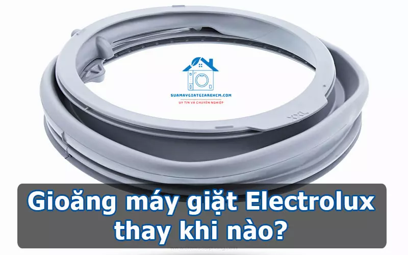 Gioăng máy giặt Electrolux thay khi nào
