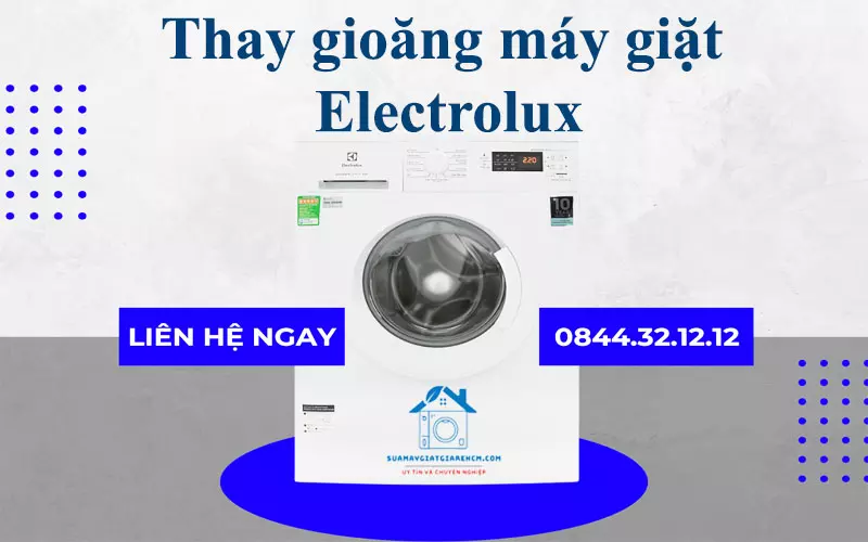 Thay gioăng máy giặt Electrolux